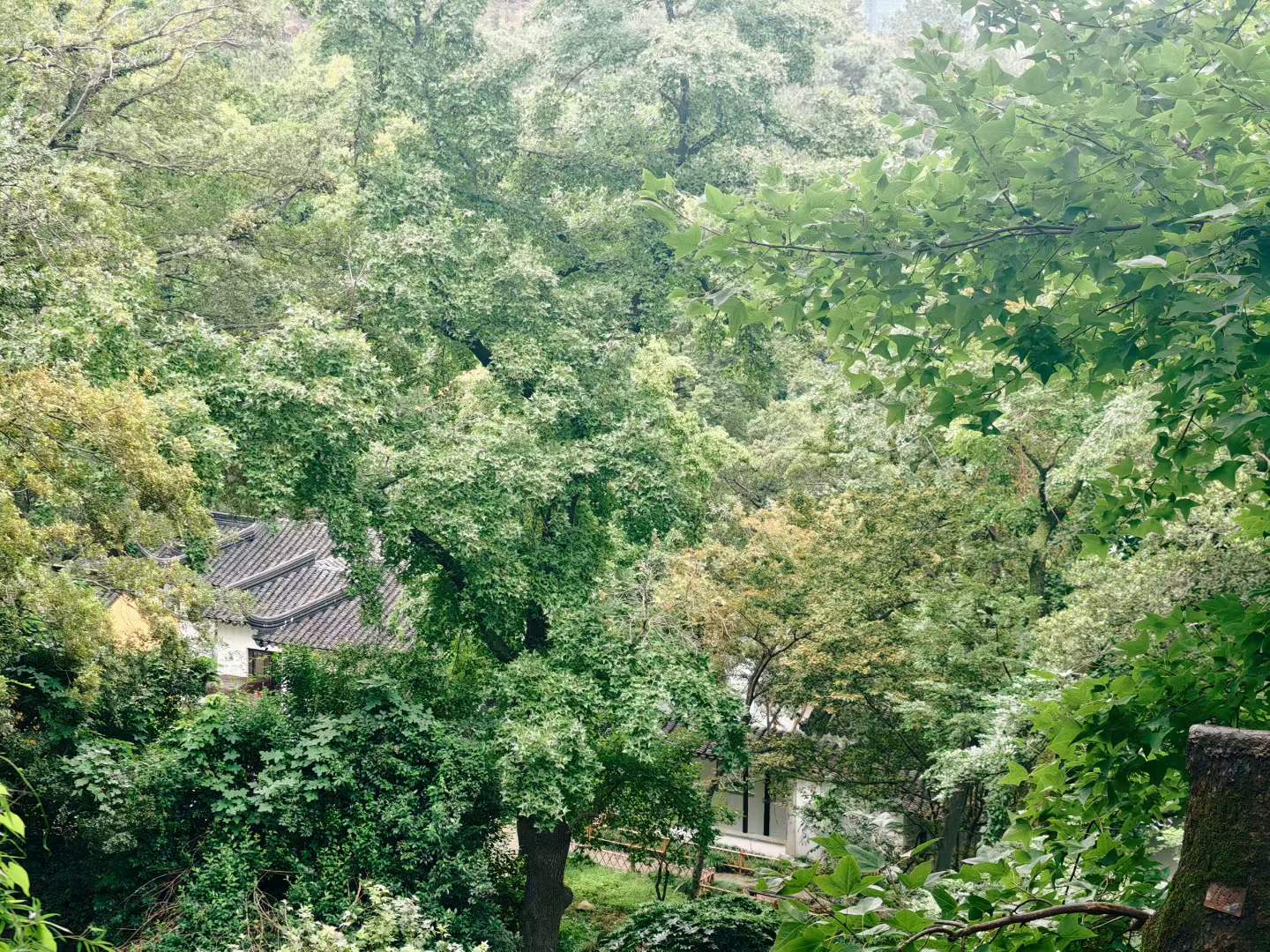 Screenshot 9 of 9