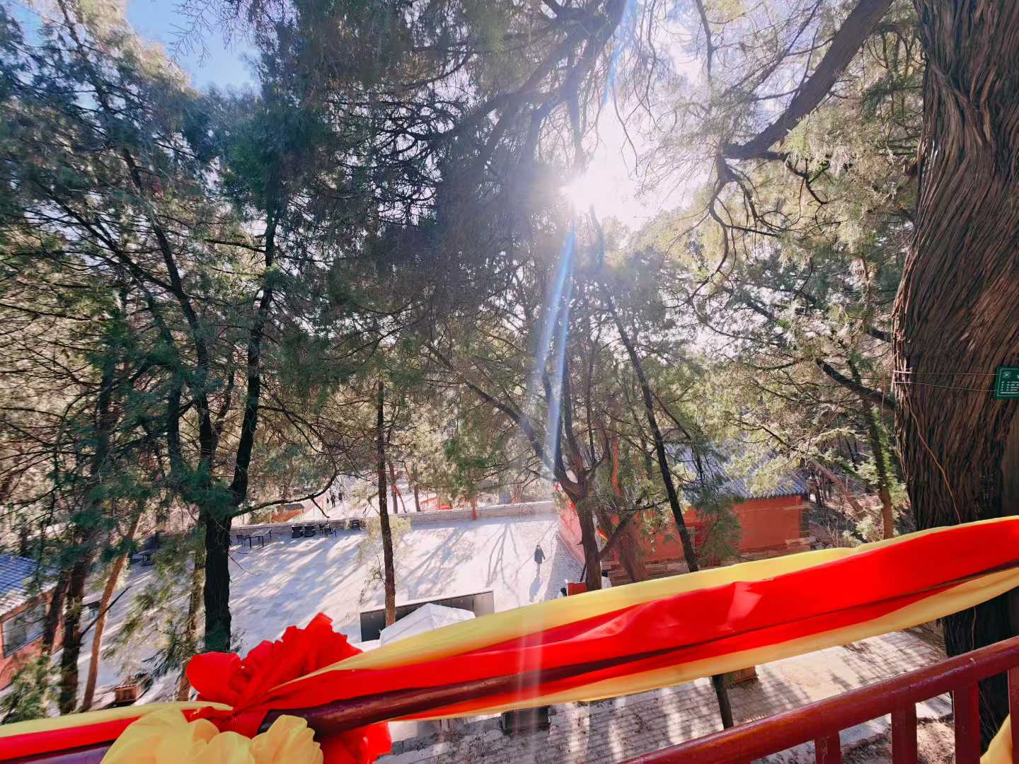 Screenshot 9 of 9