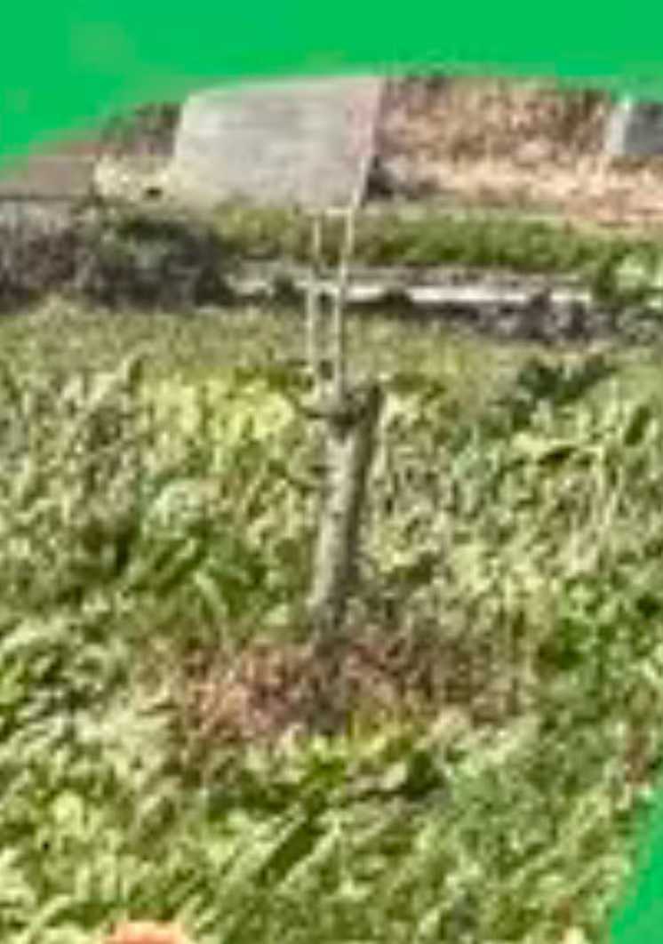 Screenshot 6 of 6
